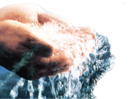 manos[1].gif